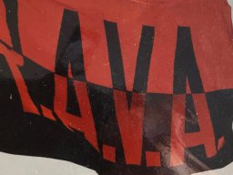E19XX RAVA DIVERS